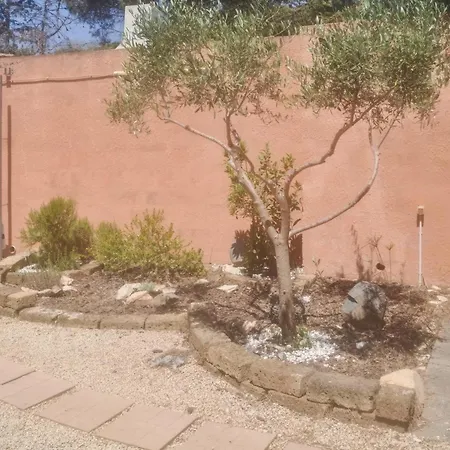 Maria Apartment Torre delle Stelle